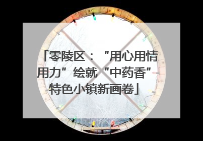 零陵区：“用心用情用力”绘就“中药香”特色小镇新画卷