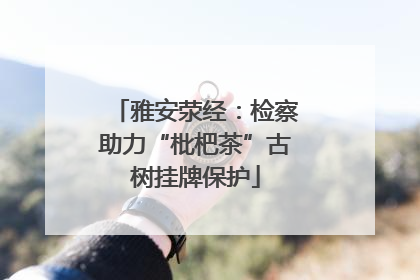 雅安荥经：检察助力“枇杷茶”古树挂牌保护
