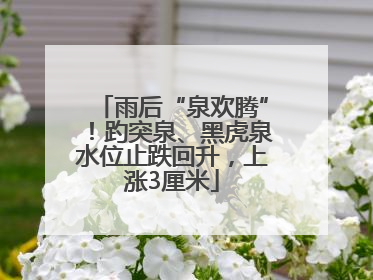 雨后“泉欢腾”！趵突泉、黑虎泉水位止跌回升，上涨3厘米
