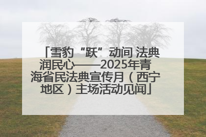 雪豹“跃”动间 法典润民心——2025年青海省民法典宣传月（西宁地区）主场活动见闻