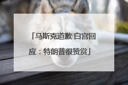 马斯克道歉 白宫回应：特朗普很赞赏