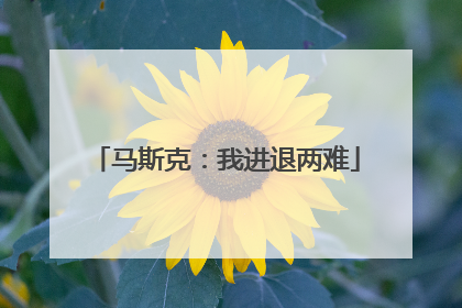 马斯克：我进退两难