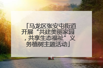 马龙区张安屯街道开展“共建美丽家园，共享生态福祉”义务植树主题活动