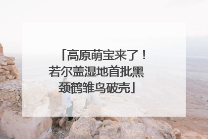 高原萌宝来了！若尔盖湿地首批黑颈鹤雏鸟破壳