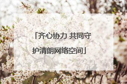 齐心协力 共同守护清朗网络空间