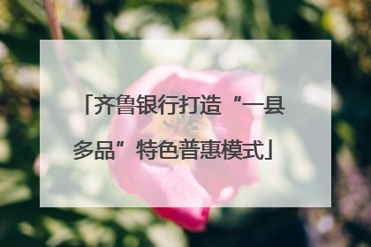 齐鲁银行打造“一县多品”特色普惠模式