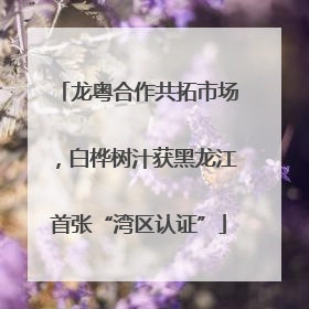 龙粤合作共拓市场，白桦树汁获黑龙江首张“湾区认证”