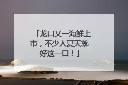 龙口又一海鲜上市，不少人夏天就好这一口！