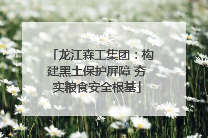 龙江森工集团：构建黑土保护屏障 夯实粮食安全根基