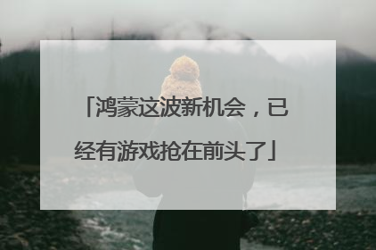 鸿蒙这波新机会，已经有游戏抢在前头了