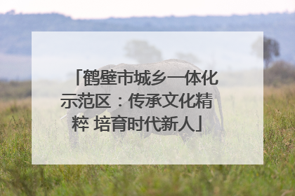 鹤壁市城乡一体化示范区：传承文化精粹 培育时代新人
