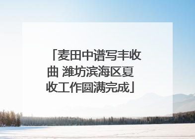 麦田中谱写丰收曲 潍坊滨海区夏收工作圆满完成
