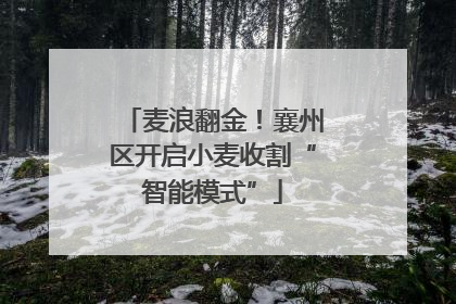 麦浪翻金！襄州区开启小麦收割“智能模式”