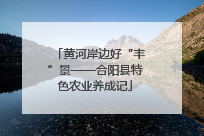 黄河岸边好“丰”景——合阳县特色农业养成记