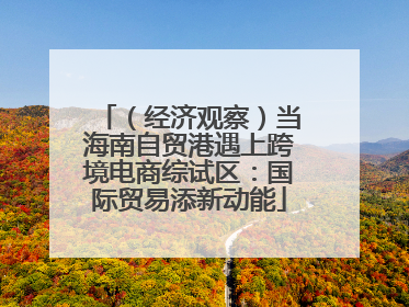 （经济观察）当海南自贸港遇上跨境电商综试区：国际贸易添新动能