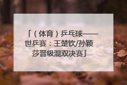 （体育）乒乓球——世乒赛：王楚钦/孙颖莎晋级混双决赛