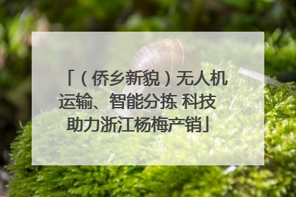 （侨乡新貌）无人机运输、智能分拣 科技助力浙江杨梅产销