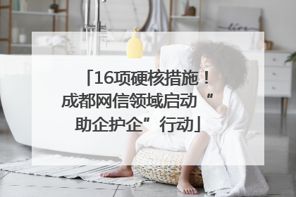 16项硬核措施！成都网信领域启动“助企护企”行动
