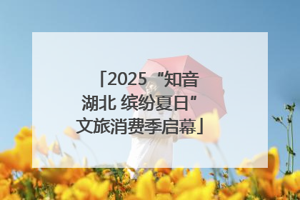 2025“知音湖北 缤纷夏日”文旅消费季启幕