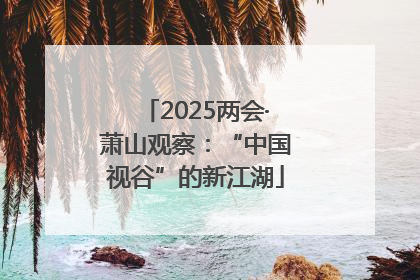 2025两会·萧山观察：“中国视谷”的新江湖