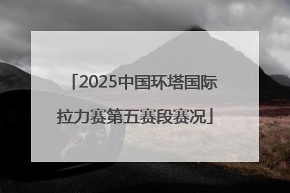 2025中国环塔国际拉力赛第五赛段赛况