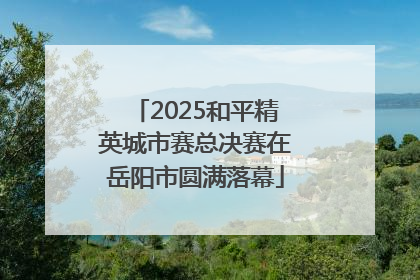 2025和平精英城市赛总决赛在岳阳市圆满落幕