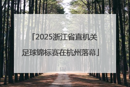 2025浙江省直机关足球锦标赛在杭州落幕