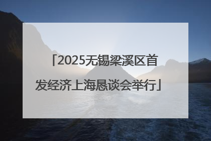 2025无锡梁溪区首发经济上海恳谈会举行