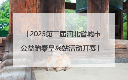 2025第二届河北省城市公益跑秦皇岛站活动开赛