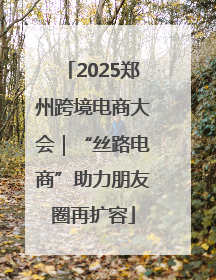 2025郑州跨境电商大会｜“丝路电商”助力朋友圈再扩容