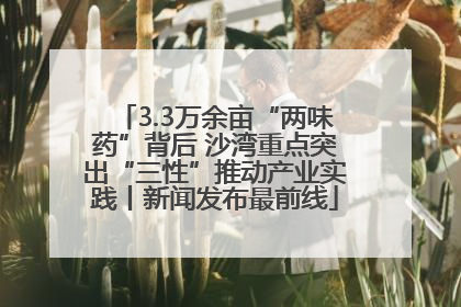 3.3万余亩“两味药”背后 沙湾重点突出“三性”推动产业实践丨新闻发布最前线