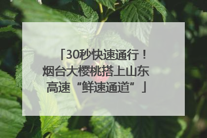 30秒快速通行！烟台大樱桃搭上山东高速“鲜速通道”
