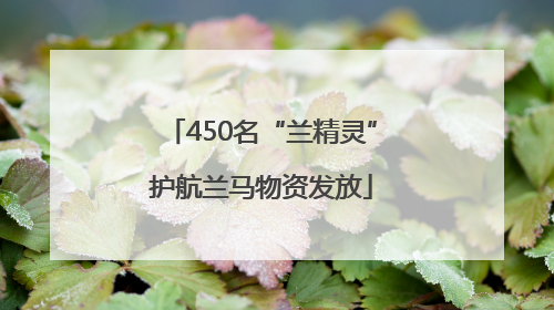 450名“兰精灵”护航兰马物资发放