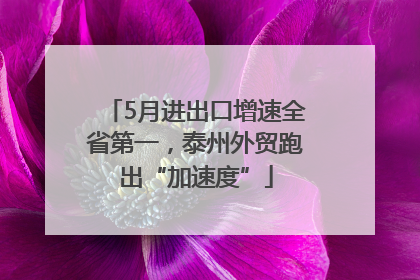 5月进出口增速全省第一，泰州外贸跑出“加速度”