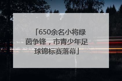 650余名小将绿茵争锋，市青少年足球锦标赛落幕