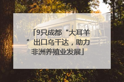 9只成都“大耳羊”出口乌干达，助力非洲养殖业发展