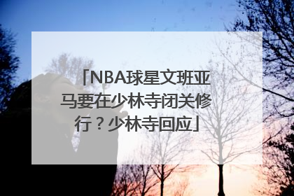 NBA球星文班亚马要在少林寺闭关修行？少林寺回应